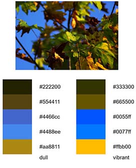 color palette for a website>
                    <figcaption class=